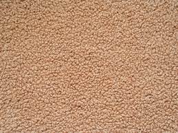 CARNERITO BEIGE